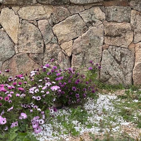 Appartamento I Pini Palau Bagian luar foto